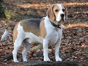 January 2017 Photo 20